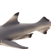 Blacktip Reef Shark Toy Realistic Ocean Predator Model