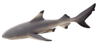 
              Blacktip Reef Shark Toy Realistic Ocean Predator Model
            