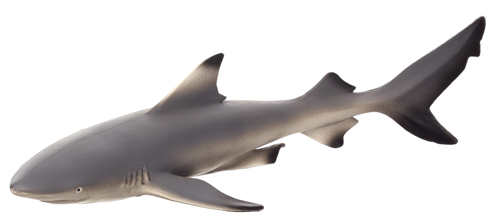 Blacktip Reef Shark Toy Realistic Ocean Predator Model