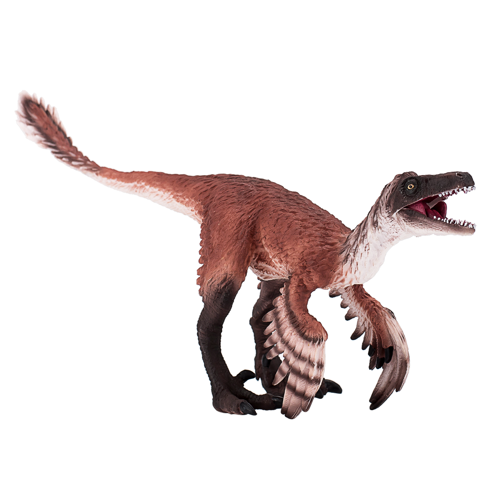 Troodon with Articulated Jaw Realistic Dinosaur Model