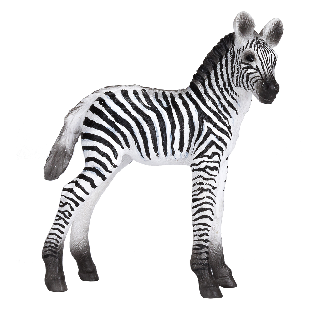 Zebra Foal Toy Realistic African Wildlife Model