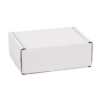 Merry & Bright Christmas Hamper Star Earrings & Jewellery Box