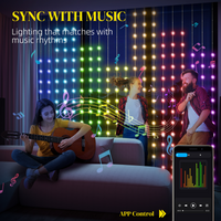 
              HOMCOM Smart LED Curtain Lights, Dynamic DIY Fairy Lights, 3x3(m)
            