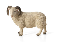 
              Sheep Ram Toy Realistic Farm Animal Model
            