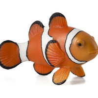 Clown Fish Toy Realistic Ocean Animal Model