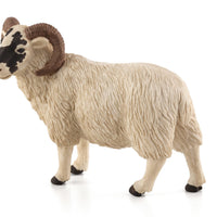 Black-Faced Sheep Ram Toy Realistic Farm Animal Figurine