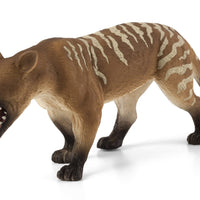 Hyaenodon Gigas Toy Prehistoric Mammal Figurine