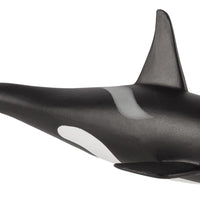 Orca Male Toy Realistic Marine Mammal Model