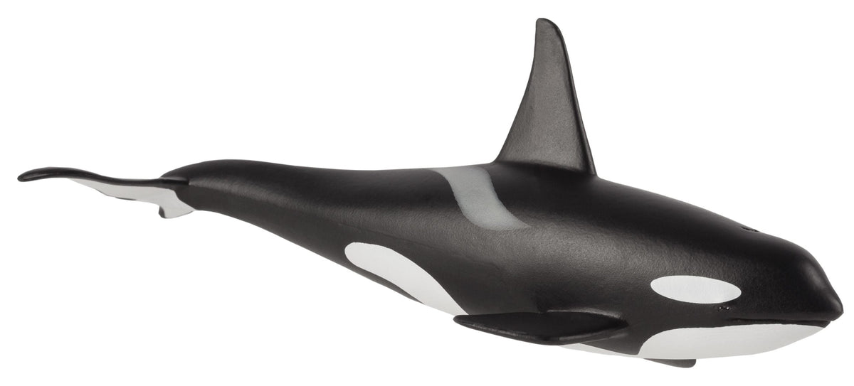 Orca Male Toy Realistic Marine Mammal Model | ToySeek
