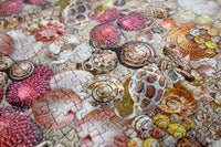 
              Natural History Museum - Shells 1000 Piece Jigsaw Puzzle
            