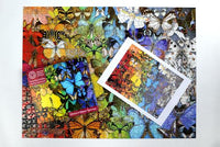 
              Natural History Museum - Butterflies & Moths 1000 Piece Jigsaw Puzzle
            