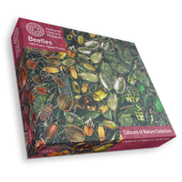 
              Natural History Museum - Beetles 1000 Piece Jigsaw Puzzle
            