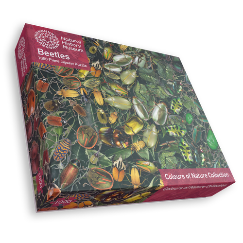 Natural History Museum - Beetles 1000 Piece Jigsaw Puzzle