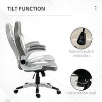 Racing Gaming Chair Height Adjustable Swivel Chair with Flip Up Armrests, Grey