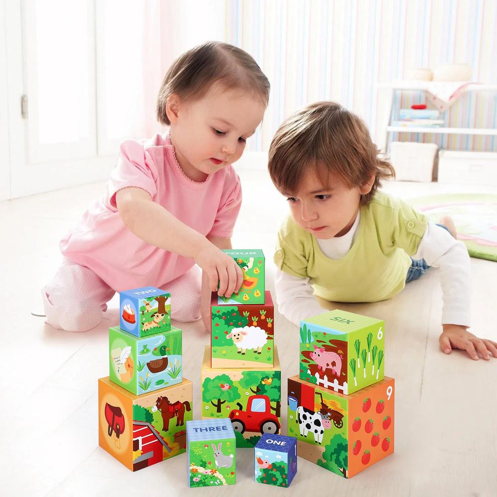 SOKA 10pcs Farm Animals Stacking Cubes Balancing Learning Blocks Toy Set 12m+