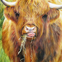 Highland Cow, 1000 Piece Jigsaw Puzzle