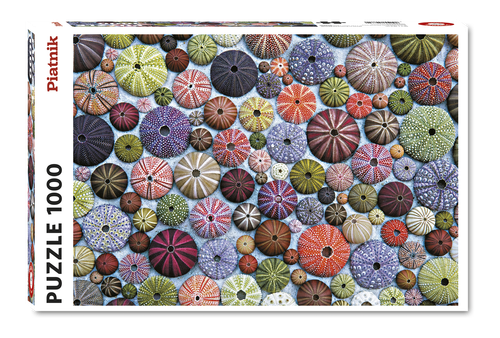 Sea urchins 1000 Piece Jigsaw Puzzle